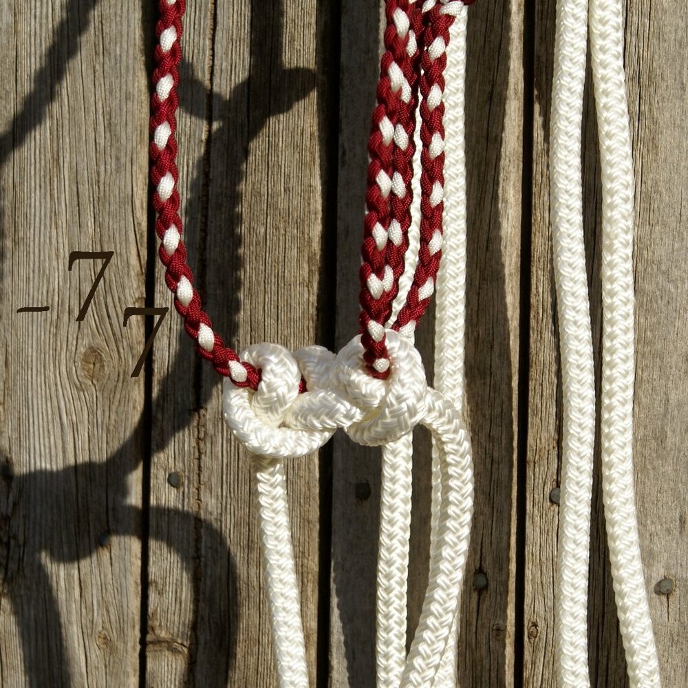 Handmade Braided Paracord Horse Loping Halter Hackamore - Yacht Rope Split Reins - Picture 4 of 9
